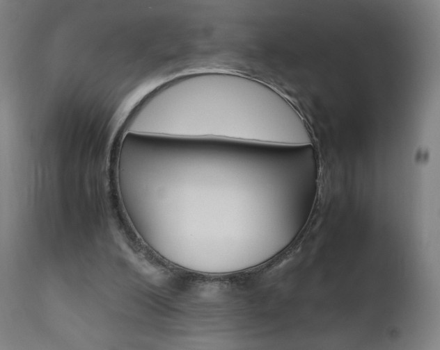 X0000110950200200906191123