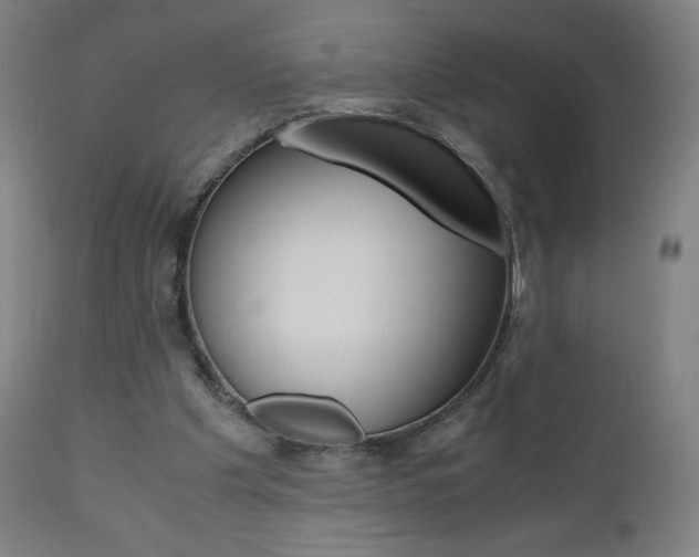 X0000110950201200906191123