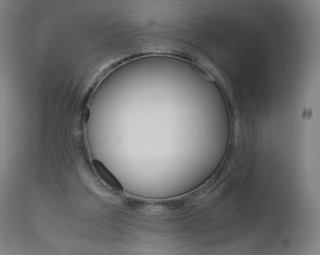 X0000110950203200906191123