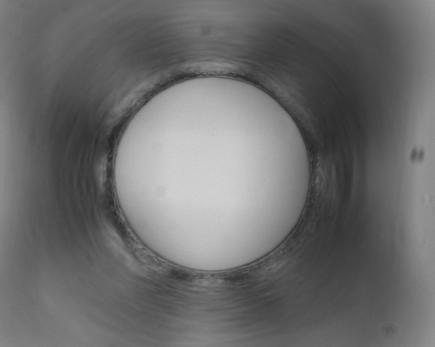 X0000110950206200906191123