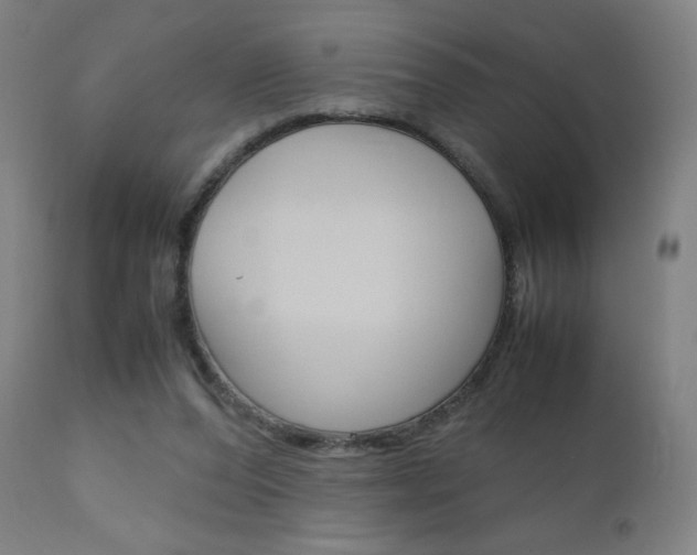 X0000110950208200906191123