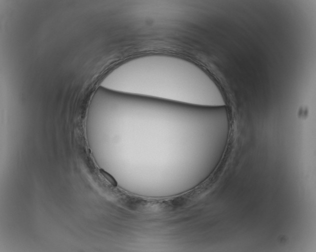 X0000110950209200906191123
