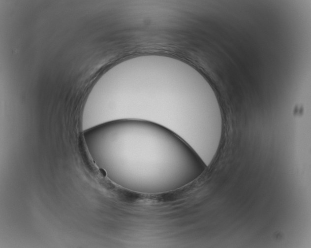 X0000110950211200906191123