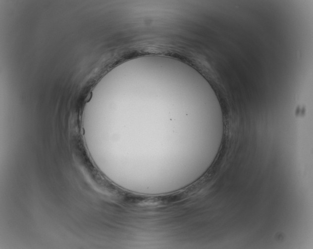 X0000110950213200906191123