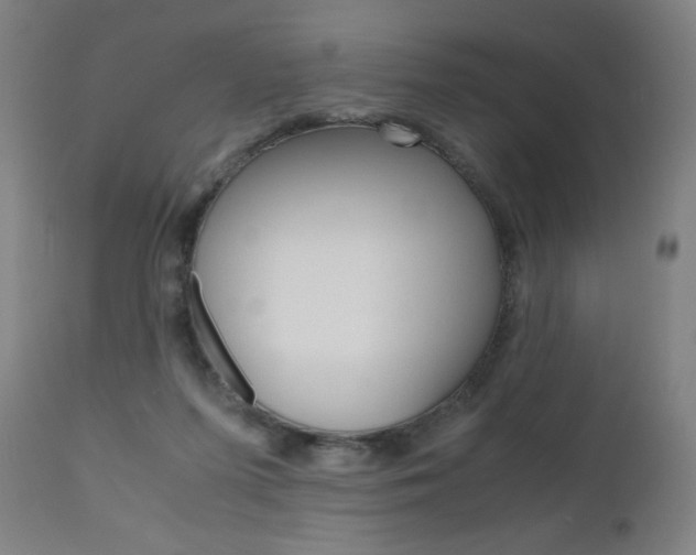 X0000110950215200906191123