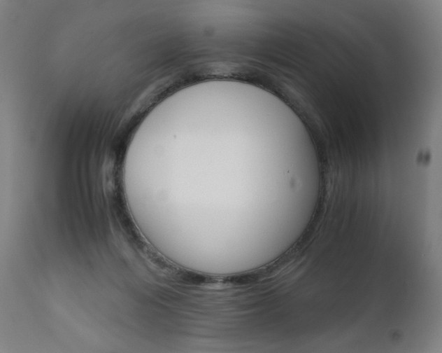 X0000110950216200906191123