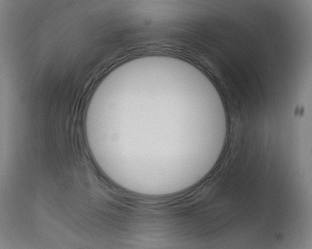 X0000110950217200906191123