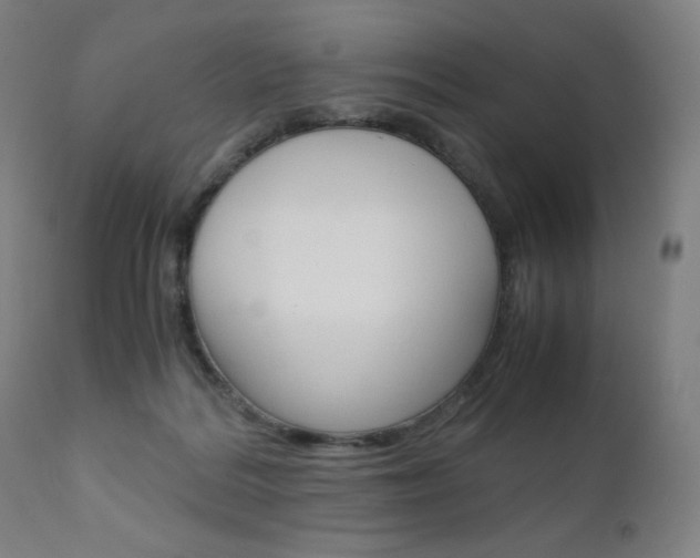 X0000110950220200906191123