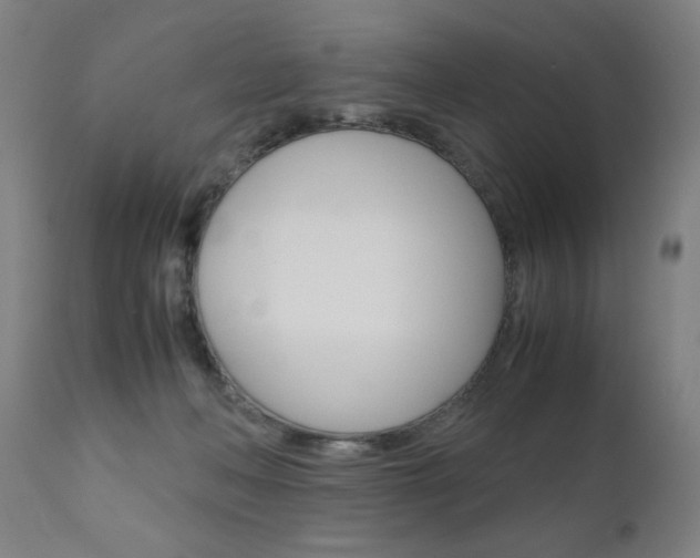 X0000110950222200906191123