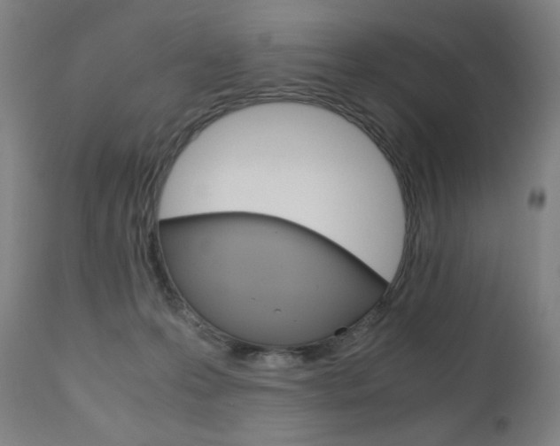 X0000110950223200906191123