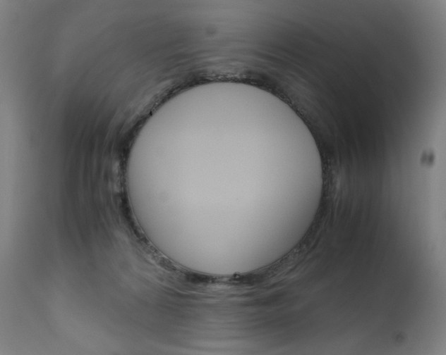 X0000110950224200906191123