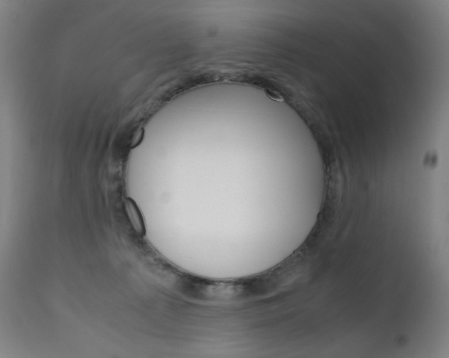 X0000110950225200906191123