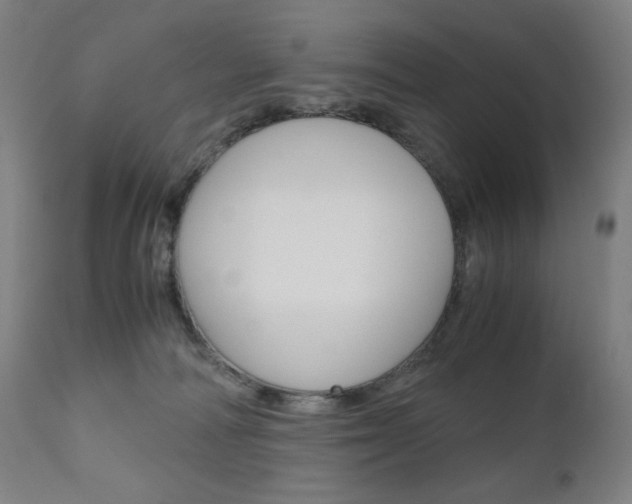 X0000110950226200906191123