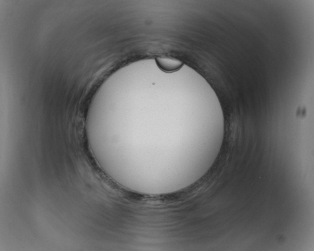 X0000110950228200906191123