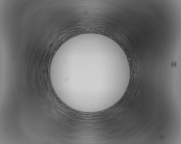 X0000110950229200906191123