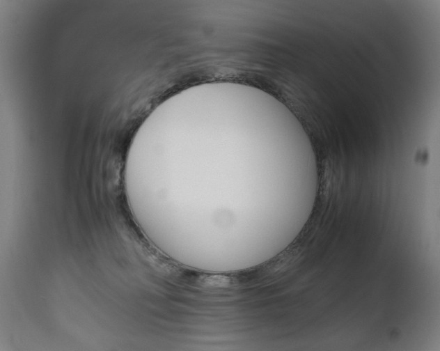 X0000110950230200906191123
