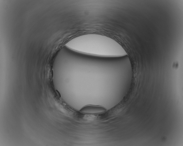X0000110950231200906191123