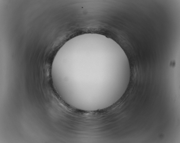 X0000110950232200906191122