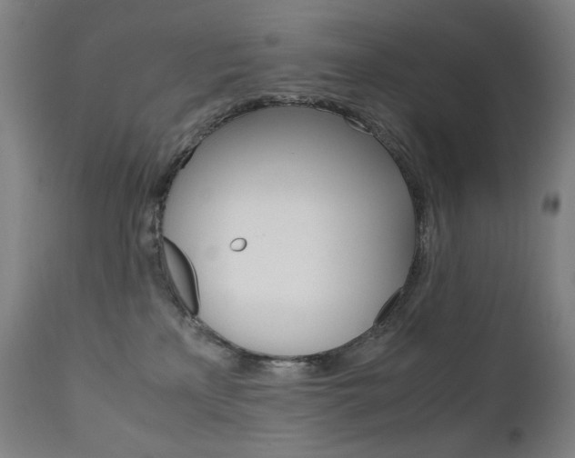 X0000110950233200906191122
