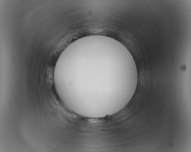 X0000110950234200906191122