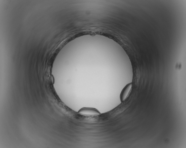 X0000110950236200906191122