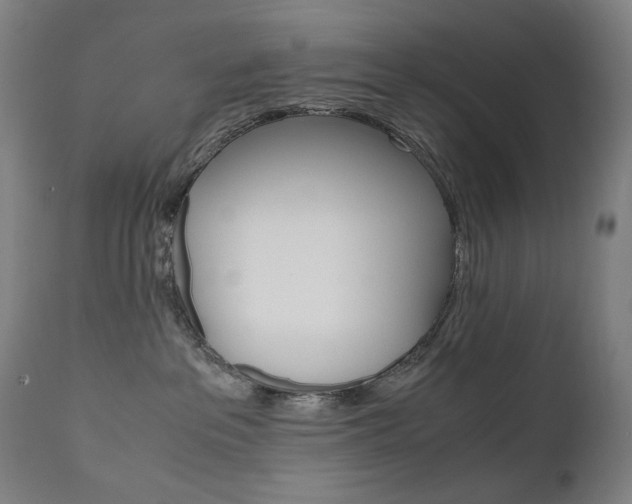 X0000110950237200906191122