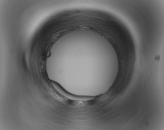 X0000110950239200906191122