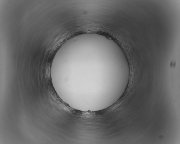 X0000110950240200906191122