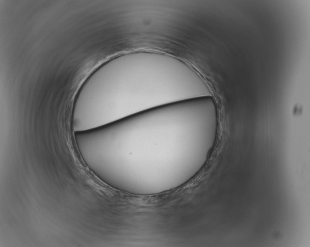 X0000110950241200906191121