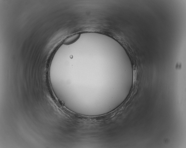 X0000110950243200906191121