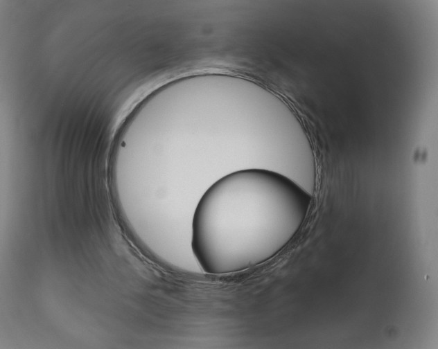 X0000110950244200906191121