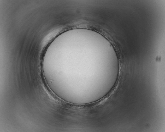 X0000110950245200906191121