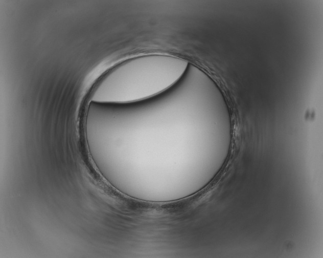 X0000110950246200906191121