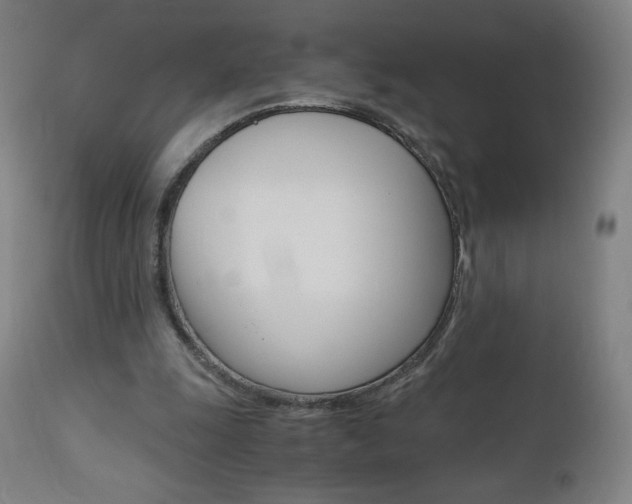X0000110950247200906191121