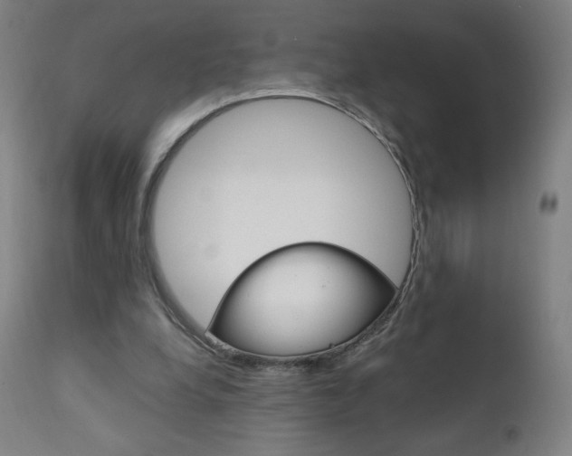 X0000110950248200906191121