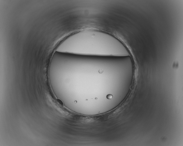 X0000110950249200906191121