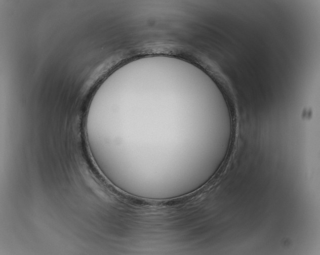 X0000110950250200906191122