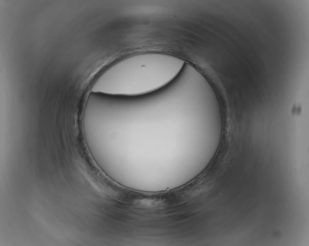 X0000110950251200906191122