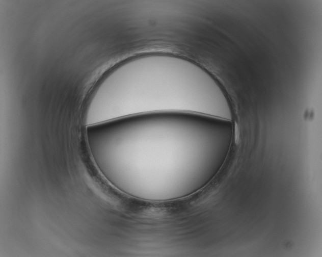 X0000110950252200906191122