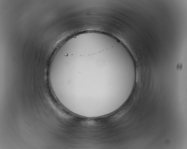 X0000110950253200906191122