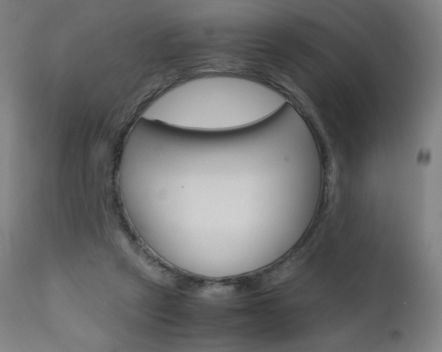 X0000110950257200906191122