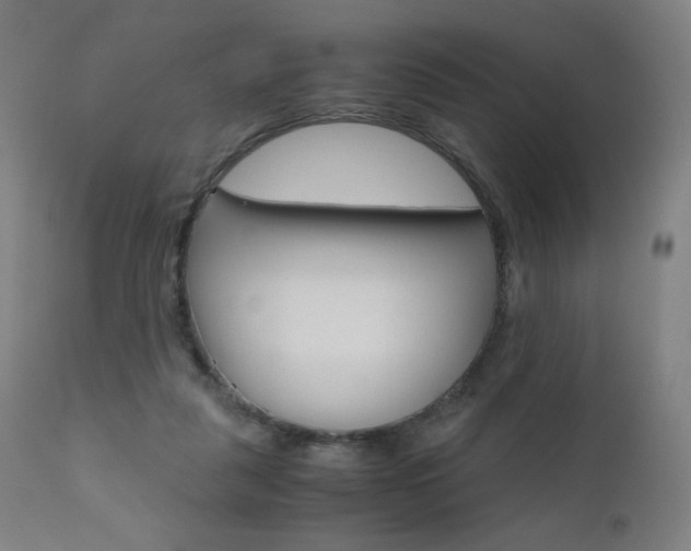 X0000110950259200906191122