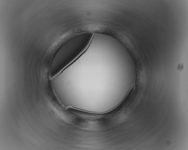 X0000110950260200906191122
