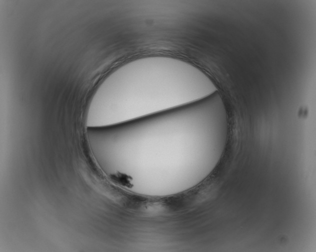 X0000110950262200906191122