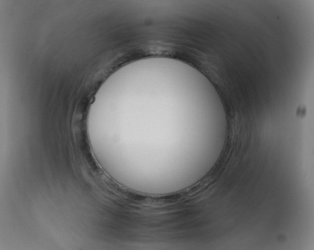 X0000110950263200906191122