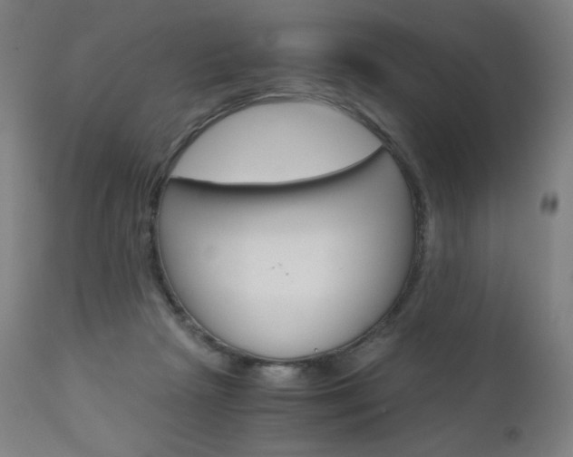 X0000110950265200906191122