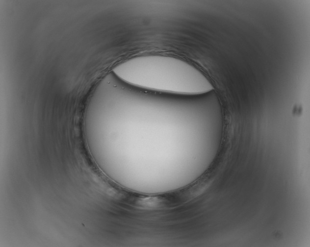 X0000110950269200906191122