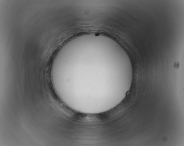 X0000110950270200906191122