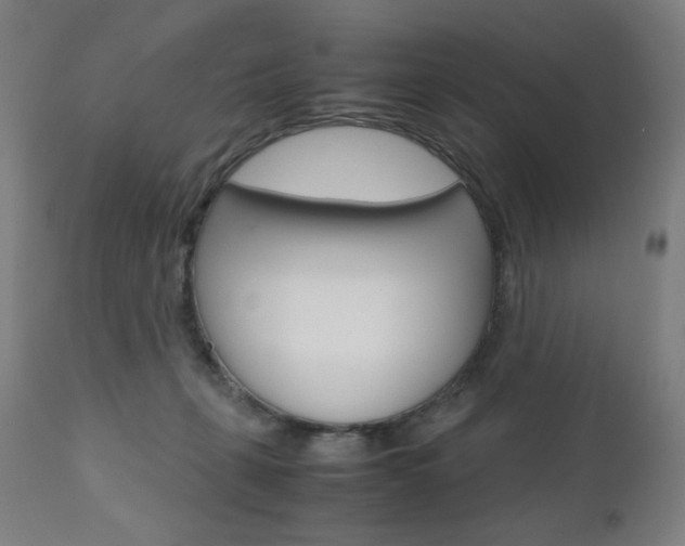X0000110950271200906191122