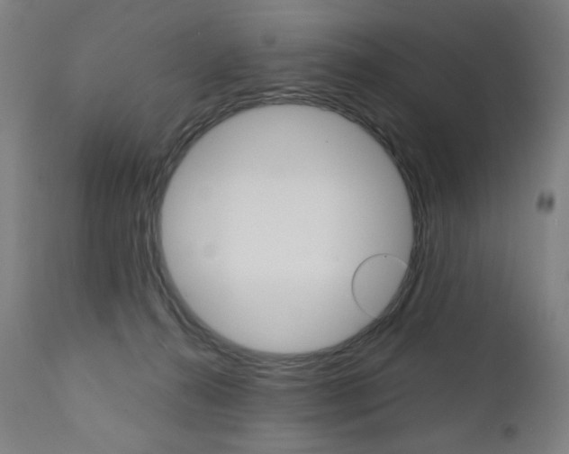 X0000110950272200906191122
